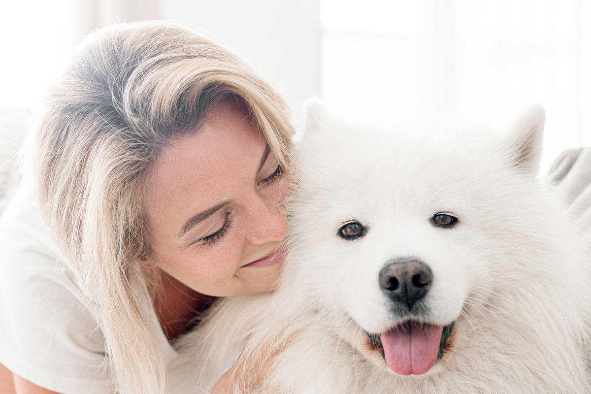 Safolyte pet care use case