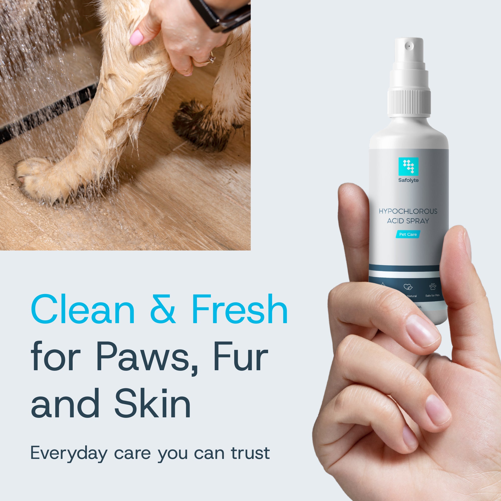 Pet Care